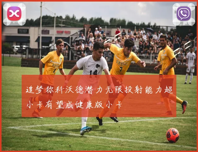 追梦称科沃德潜力无限投射能力超小卡有望成健康版小卡