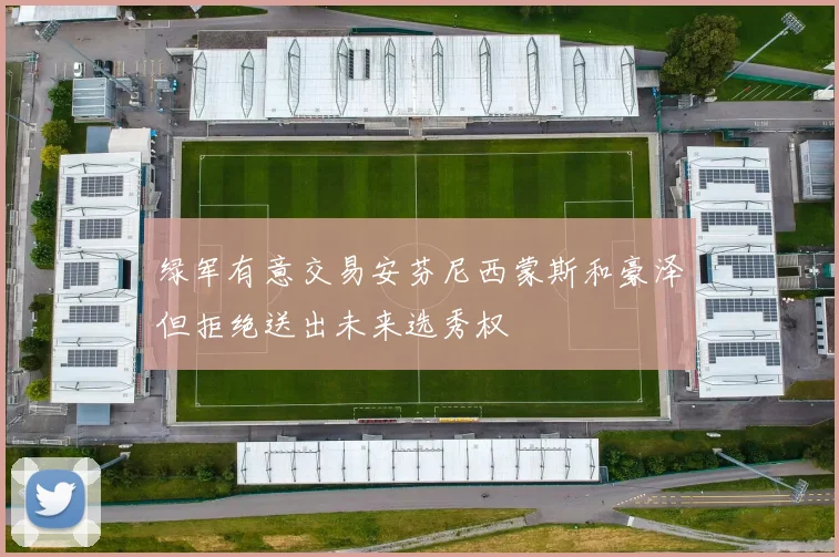 绿军有意交易安芬尼西蒙斯和豪泽但拒绝送出未来选秀权