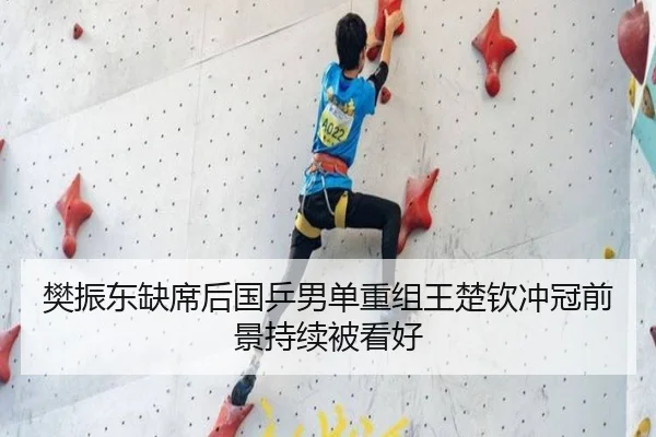 樊振东缺席后国乒男单重组王楚钦冲冠前景持续被看好 - WukongSports
